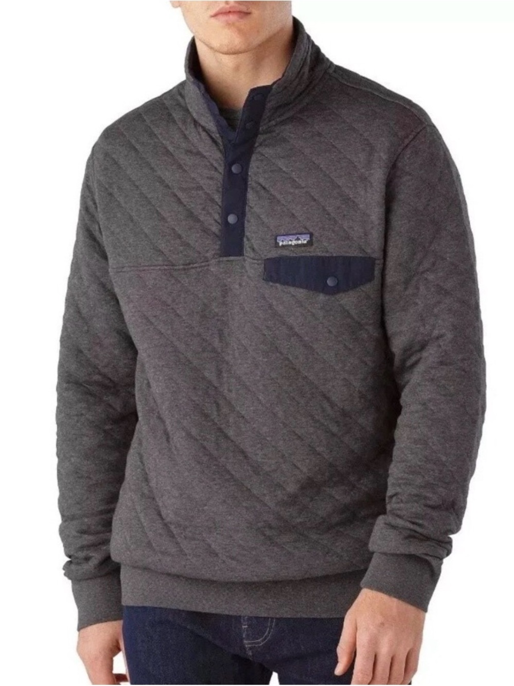 Patagonia Men's Organic Cotton Quilt Snap-T® Pullover